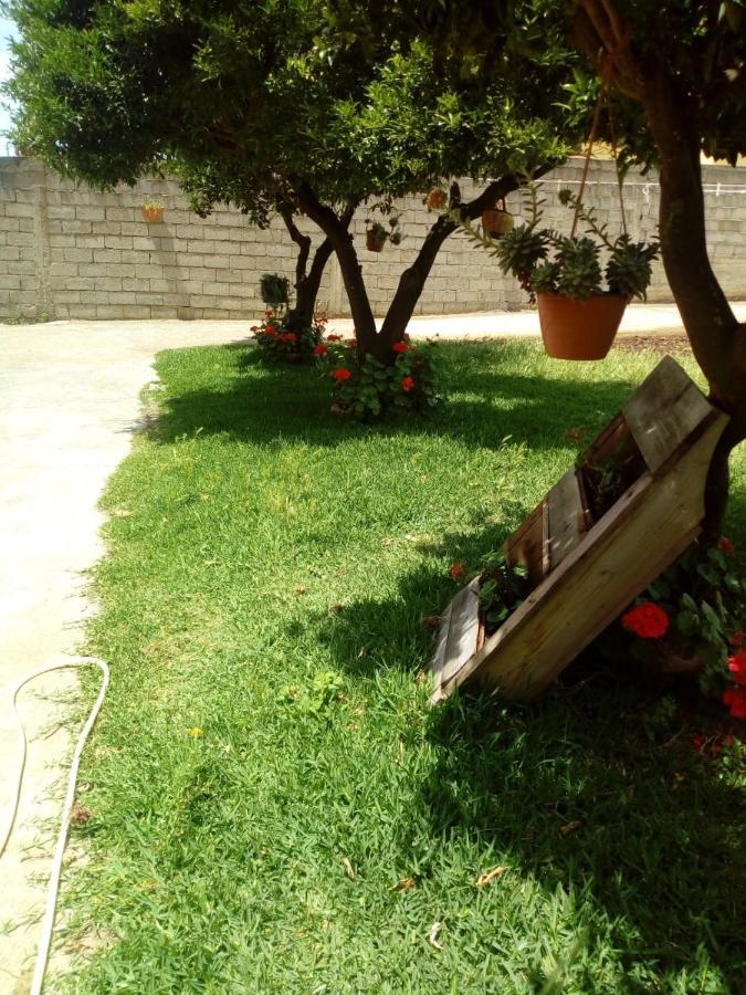 B&B Villa Del Sole Gizzeria Kültér fotó