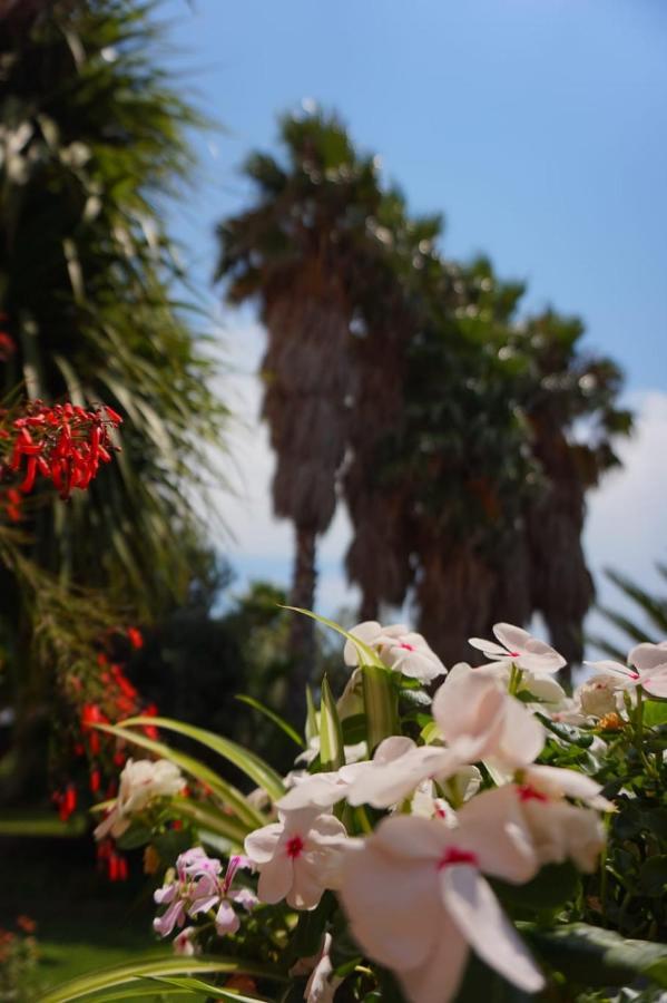 B&B Villa Del Sole Gizzeria Kültér fotó