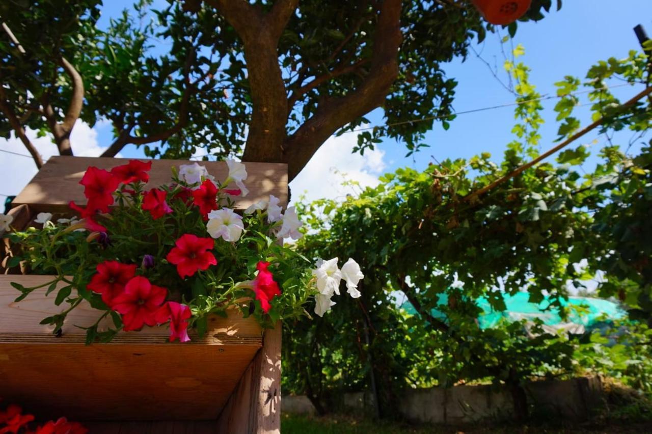 B&B Villa Del Sole Gizzeria Kültér fotó